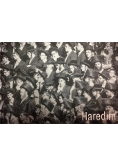 Haredim = Charedim  Cover Image